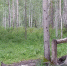  Фото: Дирекция по ООПТ Красноярского края - НИА