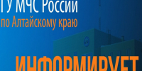 Правила поведения при встрече с медведем. - Город Белокуриха