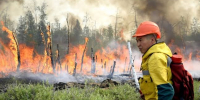 В Якутии площадь лесных пожаров, пройденная огнем, превысила 1,2 млн га - ИА SakhaTime