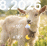 DXr2YnHgj0tBMCb_aqJJA8_52QP2cmi6pxFiJAK6iI8z4L46CEfCySYYt99WxuusdbTgdp6bIUTboGm2fdgamlIo - ЗА Новомосковск