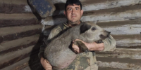 Вячеслав Лаптев, депутат АКЗС и глава КФХ — откровенно о важных проблемах жителей села - НовостиАлтая.рф