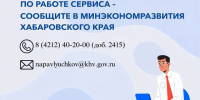 Получить ответы и помощь от органов власти в короткие сроки могут предприниматели края через платформу обратной связи для бизнеса - Администрация Хабаровского района