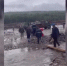 На золотодобывающем участке в Тындинском округе незаконно трудилась группа иностранцев (ВИДЕО) - Asn24.Ru