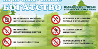 Что становится причиной лесных пожаров чаще всего? - Город Искитим