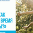 Ваш гид по тому, как найти время и силы для активности в любом возрасте и весе - КГБУЗ ККЦМП