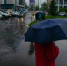 Дождливая погода продолжается | Источник: Иван Митюшёв / 29.RU - 29.Ru