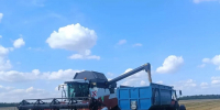 В ЮУрГАУ началась уборка ячменя на семенном участке в Троицком районе - ЮУрГАУ