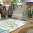 Опубликована полная деловая программа ВЭФ-2026 - Время Биробиджана