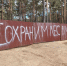 Защитите лес от чиновников! - Газета Вечорка