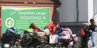 На подготовку детей из многодетных семей Алтая к школе направят 368 млн рублей - Комсомольская Правда