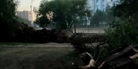Длиной в квартал газон весь угробили благовещенцы показали как в городе появляется новый сквер видео - Amur.Life