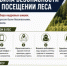 Следственное управление напоминает о мерах безопасности при посещении леса - Следственный комитет