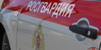 Росгвардейцы в Новодвинске задержали разыскиваемого гражданина - Росгвардия