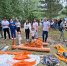 JQ3RM-g5Jude0JvL1vCcd7TaPmRW15wFkURuaTsResApGhTrbiLELLArVXgcoAIejlODiQvzrrXA2kgP7xBvphVO.jpg - Местное время