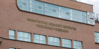 Минсельхоз РФ рассматривает меры по поддержке производителей зерна - Министерство сельского хозяйства