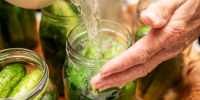 Фото:MOLEQL/Shutterstock/Fotodom - Ямал-Медиа