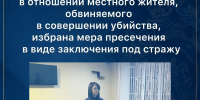 По ходатайству следователя в отношении местного жителя, обвиняемого в совершении убийства, избрана мера пресечения в виде заключения под стражу - Следственный комитет