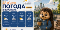 Конец аномальной жары: прогноз погоды в Воронеже - Bloknot-Voronezh.Ru