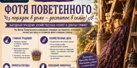 На Фотю Поветенного воронежцам советуют достать вересковые веники и вспомнить о чудесах - Bloknot-Voronezh.Ru