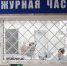 В Жигулевске мужчина сломал пятку бывшей жене и попал под статью - Комсомольская Правда Самара
