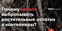 Вниманию садоводов: складирование ботвы и веток в контейнеры ТКО строго запрещено - Альметьевский район