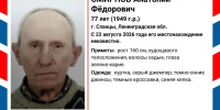 Двух пенсионеров ищут в Петербурге и Ленинградской области - Spbdnevnik.ru