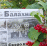 Публикуем анонс 64-го номера "Рабочей Балахны" от 25 августа 2026 года - Газета Рабочая Балахна