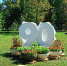 В парке Горького появились новые инсталляции и цветочные композиции - Город Луганск