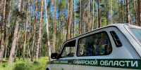 Лесные инспекторы Самарской области вынесли штрафы на 1,5 млн рублей - Минлесхоз