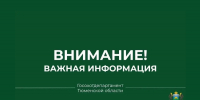 В Уватском муниципальном округе приняты меры в связи с выходами бурых медведей к населённым пунктам - Госохотдепартамент Тюменской области