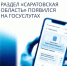 Саратовская область одной из первых запустила региональный раздел на Госуслугах - Балаковские вести