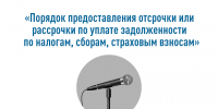 Налоговики  на вебинаре  расскажут об условиях предоставления 
отсрочки или рассрочки по платежам в бюджет - УФНС