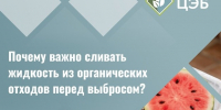 Сочная проблема: почему важно сливать жидкость из органических отходов перед выбросом. - Борисовский район
