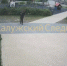В Калуге толпа подростков избила семилетнего мальчика - Калужский перекрёсток