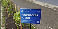 Зелёный тариф для Заполярья: сотрудники «Росатом Энергосбыта» высадили в Полярном аллею из сирени и смородины - Арктик-ТВ