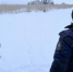 Фото: областной Следком - News29.Ru