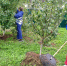 В Калужской области продолжается месячник по благоустройству - Единая Россия