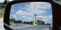 Автобус столкнулся с быком на трассе Р-120 под Рославлем - SmolDaily.Ru