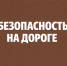 Столкновение с дикими животными за пределами населенного пункта.. - Город Ачинск