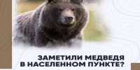 Уважаемые жители Мотыгинского округа!. - Мотыгинский район