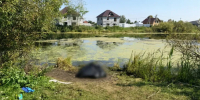 В Тюменском районе у воды нашли тело 64‑летнего рыбака – что говорят в Следственном комитете - MegaTyumen.Ru