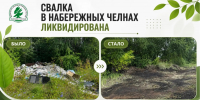 В Набережных Челнах ликвидирована свалка - Министерство экологии