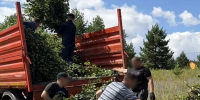 Осужденные к принудительным работам приняли участие в заготовке веточного корма для животных Этнографического музея народов Забайкалья - УФСИН