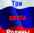 “Цвета – триколор!” - Библиотеки Тамбовской области