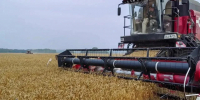 В Кузбассе аграрии обмолотили треть площадей зерновых культур - Газета Комсомольская правда