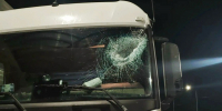 Водителя чуть не убило доской, сброшенной с эстакады над платной трассой М-12 - Zebra-TV.Ru