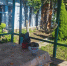 Screenshot_20260825_130456_MAX - Сетевое издание Арбуз