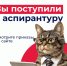 Теперь вы – аспиранты Технологического! - Технологический университет