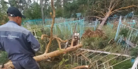 На кладбище в Улан-Удэ убрали поваленные после непогоды деревья - ВостокТелеИнформ