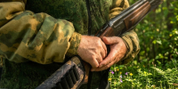 В Башкирии хладнокровно убили животное: виновного нашли, он предстал перед судом - Комсомольская правда